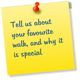 Tell us about your favourite walk, and why it is special