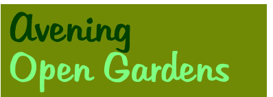 Avening Open Gardens