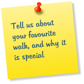 Tell us about your favourite walk, and why it is special